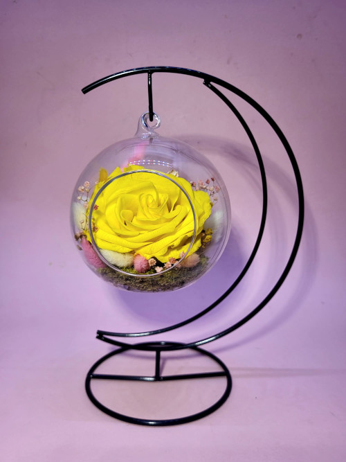 Artifex image - TONGA LARGE (Timeless Spring Rose)